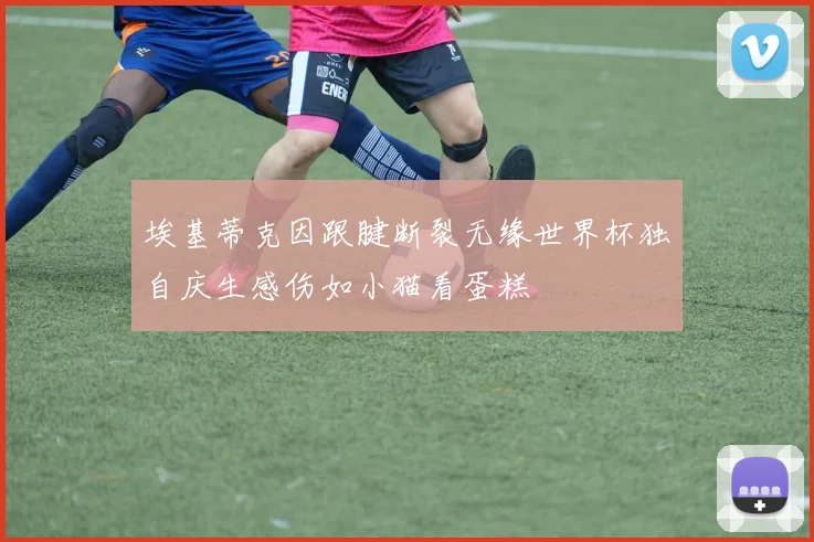 埃基蒂克因跟腱断裂无缘世界杯独自庆生感伤如小猫看蛋糕