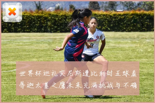 世界杯巡礼突尼斯遭比利时五球羞辱迦太基之鹰未来充满挑战与不确定性