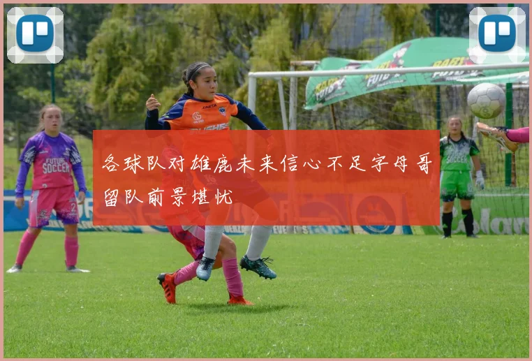 各球队对雄鹿未来信心不足字母哥留队前景堪忧