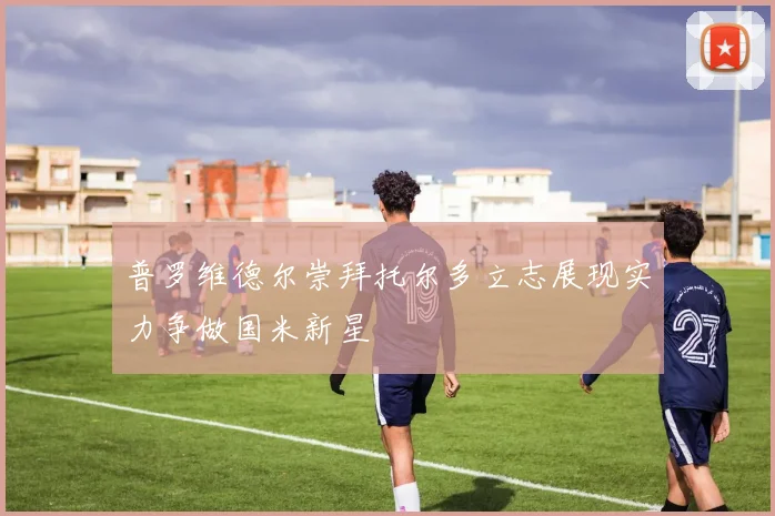 普罗维德尔崇拜托尔多立志展现实力争做国米新星