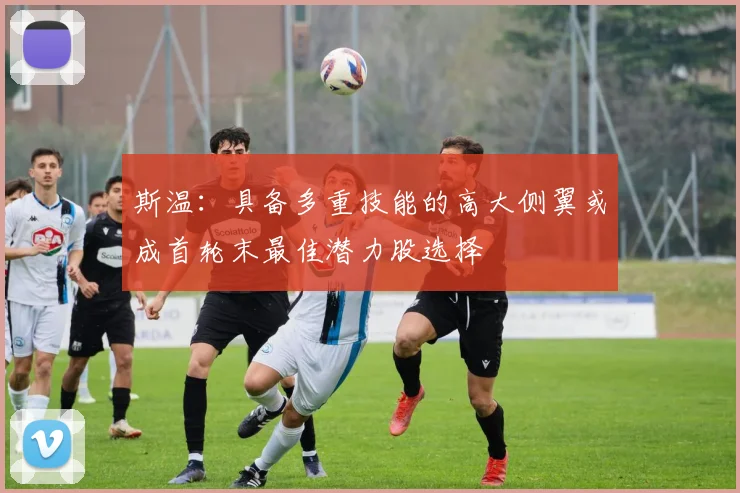 斯温：具备多重技能的高大侧翼或成首轮末最佳潜力股选择